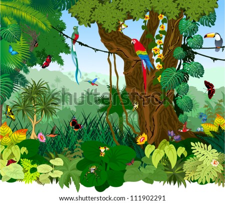Vector Illustration Jungle with Frog, Toucan, quetzal, humming-birds, butterflies , Ara and flowers Royalty-Free Stock Photo #111902291