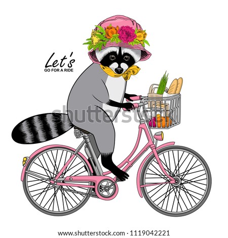 Vector raccoon with a pink bike. Hand drawn illustration of dressed coon  with  pink hat, wreath and yellow scarf.