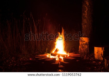 Campfire at night