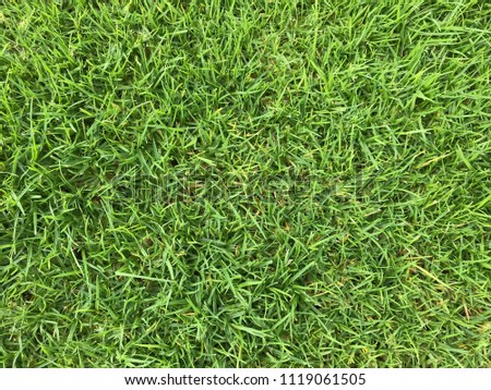 texture and pattern of green grass on football field