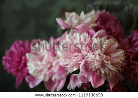 bouquet of peonies, photo