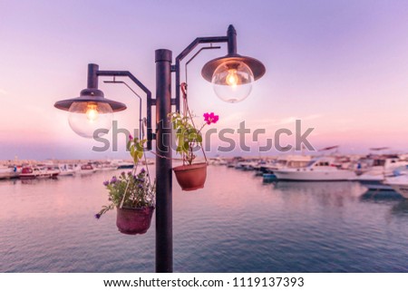 Cafe lights and flowers of the marina in Mersin, Turkey
