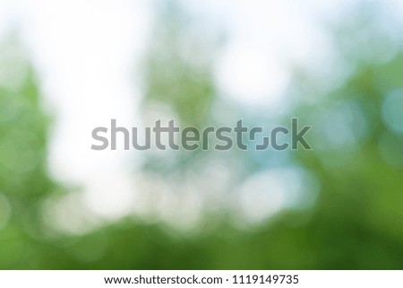Blurred background with green leafs in the park