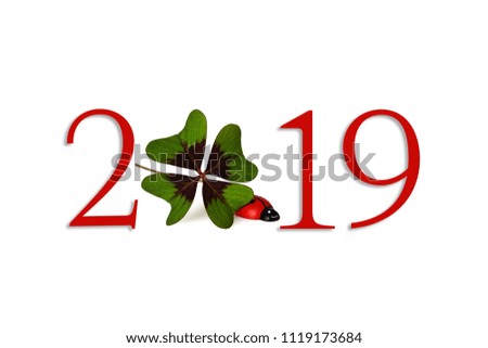 2019 New Year. Text illustration isolated on white background