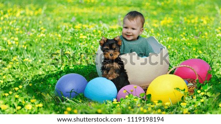 Wide picture of a baby boy  in a giant egg shell with Yorkshire Terrier on big easter eggs