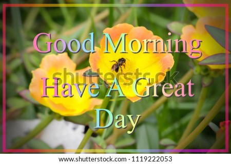 Greeting concept,Good Morning,Have A Great Day with blurred flower nature background.