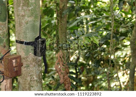 Old and New Camera trap box or case attaches to a tree in the rain forest for capturing wild animals.