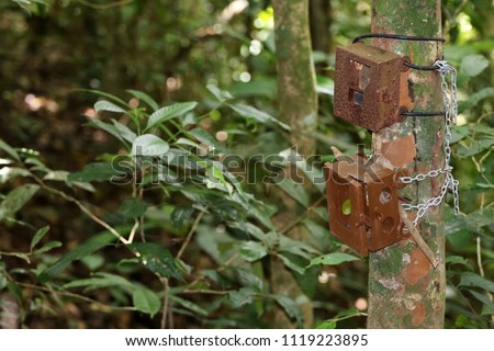 Old and New Camera trap box or case attaches to a tree in the rain forest for capturing wild animals.