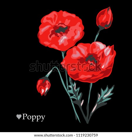 Decorative poppy flowers, design elements. Can be used for cards, invitations, banners, posters, print design. Floral background in watercolor style