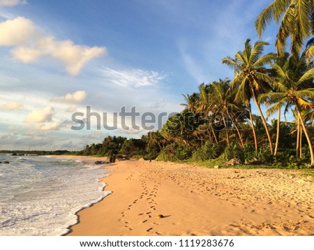 Idyllic sunset and Palm trees at Balapitiya beach at the Indian Ocean, Sri Lanka Royalty-Free Stock Photo #1119283676