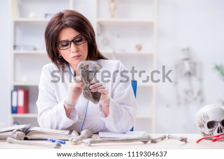 Doctor working in the lab on skeleton