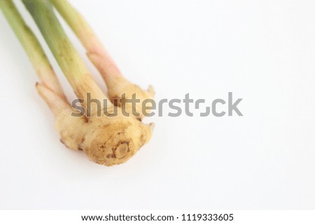 It is a harvested ginger