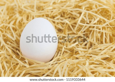 Eggs and cushioning materials
