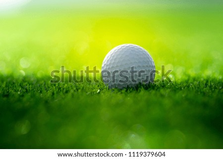 close up the golf ball on green grass background