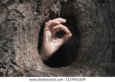 Female hand that shows from the tree hollow the sign "almost OK"