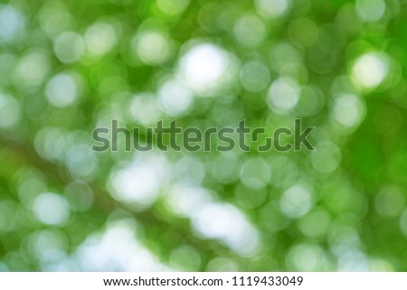 natural green bokeh abstract background,blurred textured
