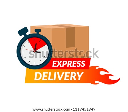 Delivery icon for apps and website. Express delivery concept. Stopwatch in cardboard box. Vector illustration isolated on white background. Flat design. Eps10.