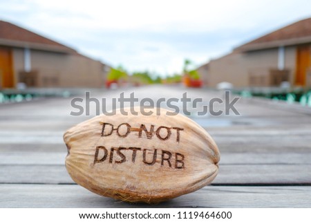 Summer concept , Word " Do not disturb" carve on a dried coconut meaning to relax time in vacaton weekend holiday