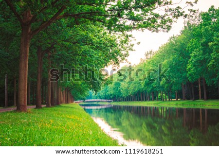 summer sunny river in the park