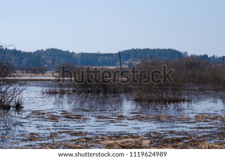 Big swamp lake in sweden