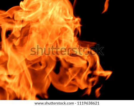 Fiery flame of fire on a black background