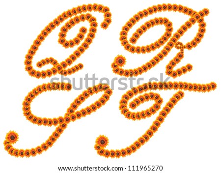 Alphabet Q R S T, Sunflower alphabet isolated on white