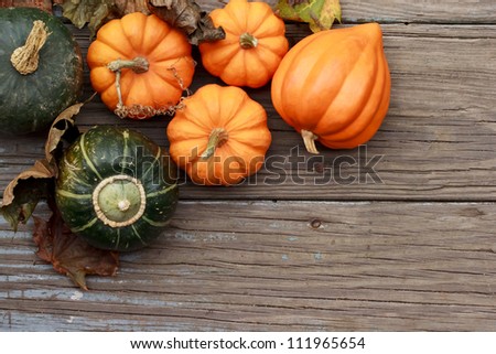 Autumn pumpkins with leaves  on wooden board
