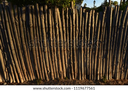 tropical stick wood fence in Baja, Mexico