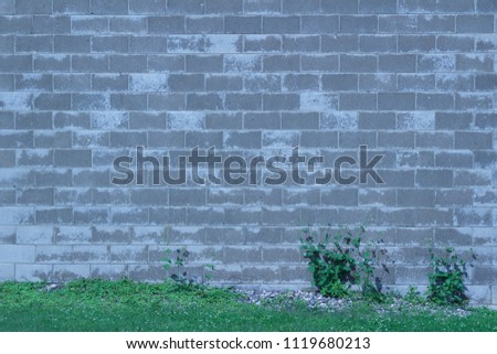Vintage exterior concrete block wall background shows interesting gray and white color variations possibly due to weather, moisture or efflorescence, with grass and weeds border along bottom