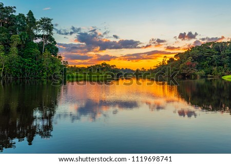 Reflection of a sunset by lagoon inside the Amazon Rainforest. The Amazon river basin comprises the countries of Brazil, Bolivia, Colombia, Ecuador, Guyana, Suriname, Peru and Venezuela.  Royalty-Free Stock Photo #1119698741