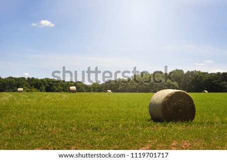 A field in a rural area of Virginia.