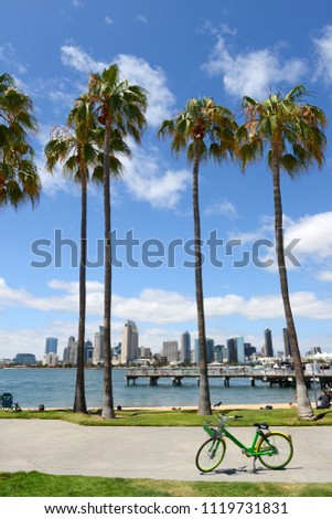 Skyline of San Diego, California with blue skies and palm trees