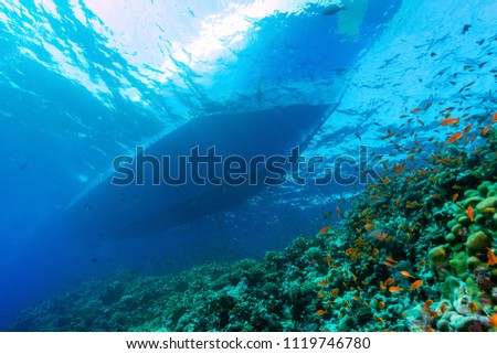 Underwater world image