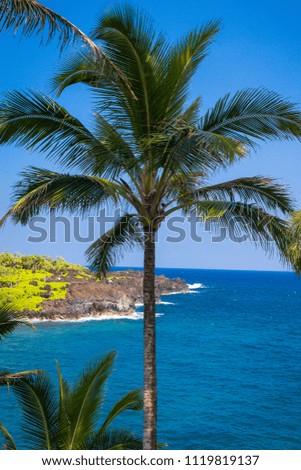 Black Sand Beach at Waianapanapa State Park on Maui, Hawaii
