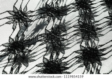 Texture, background, pattern. Black lace on white background