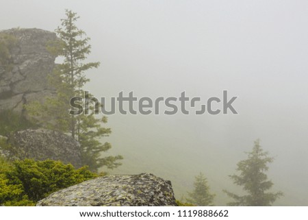 Misty scenery and rain in the Alps in summer