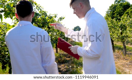 Two young agronomists or a biologist, working on the apple tree, write tests in a notebook, in white coats, rubber gloves, dna, goggles, leaf tests, a background of nature and greens.