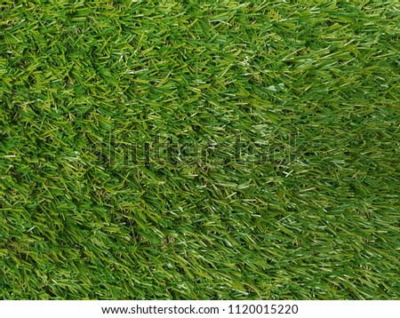 Grass texture green background.