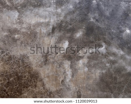 Old cement floor