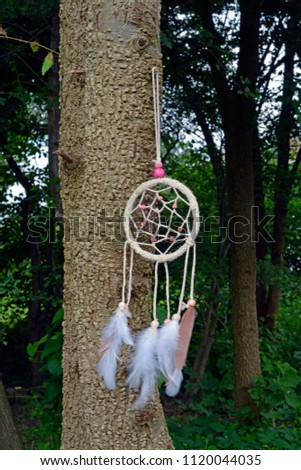 Dreamcatcher, american native amulet on a tree twig in the forest