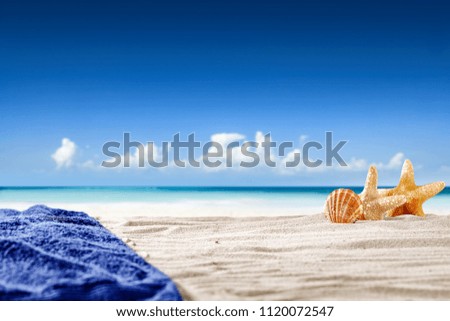 Summer photo of beach with shelld and sea landscape. Free space for your decoration. 