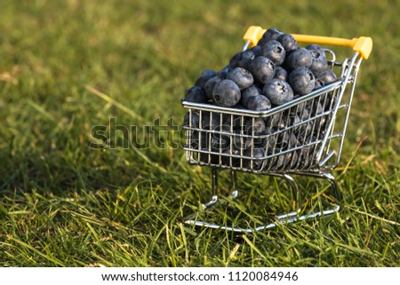 Shopping cart with fresh blueberry on green grass background with copy space.