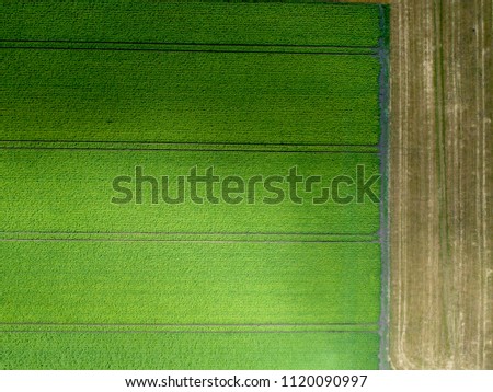 View from above over some agriculture fields