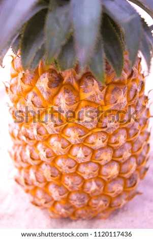 Pineapple close-up, peel texture