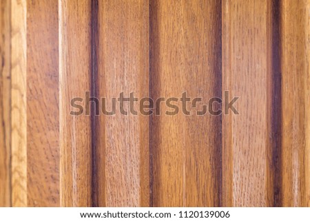 Texture of a noble tree, background, selective focus