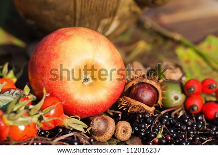 attractive autumnal picture of an apple and other autumnal fruits