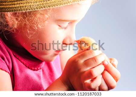 little girl and newborn chicken nose to the nose, children, cute pictures