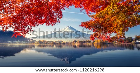 Colorful Autumn Season and Mountain Fuji with morning fog and red leaves at lake Kawaguchiko is one of the best places in Japan Royalty-Free Stock Photo #1120216298