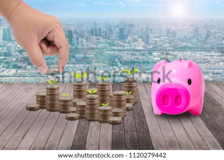 Male hand putting money coins on pile of coins and little tree, piggy bank on wooden Plank and blurred cityscape background concept business finance of money growth, prepare in the future or saving