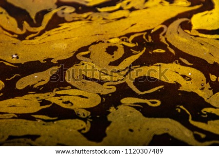 Green algae on golden sun light on the water background. Art of nature. Microbiology